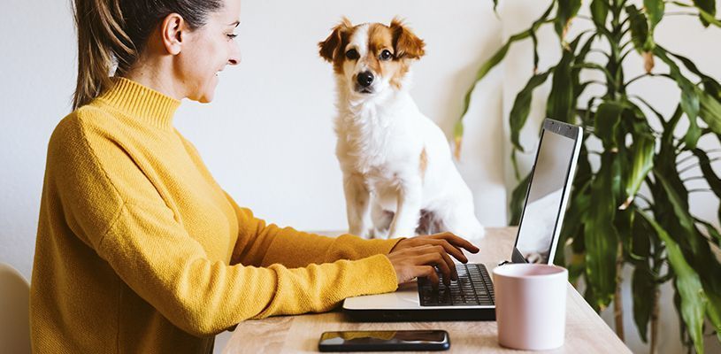 home-office-distracciones