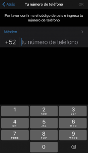 whatsapp business telefono